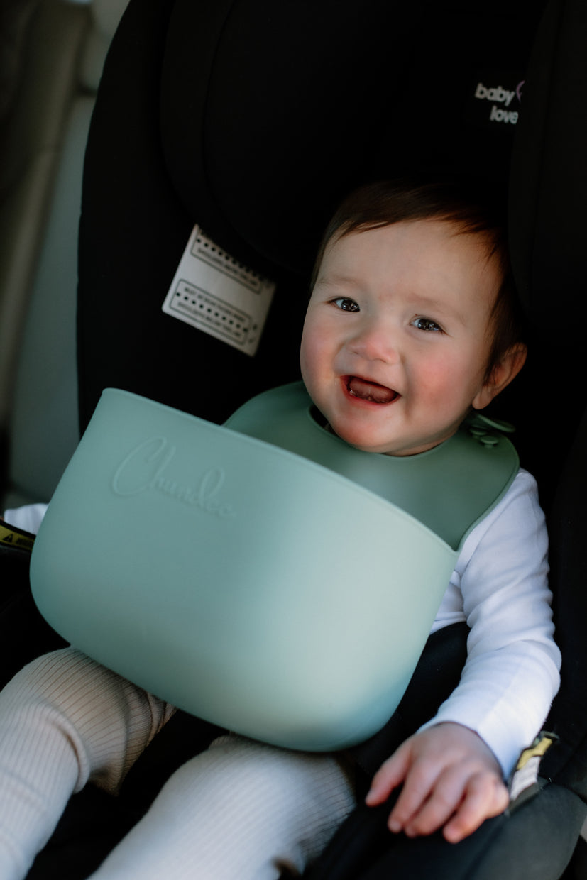Green Vomit Bucket Bib and Wet Bag